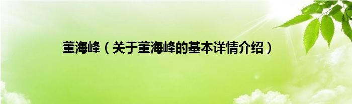 董海峰（关于董海峰的基本详情介绍）