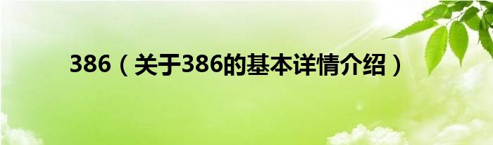 386（关于386的基本详情介绍）