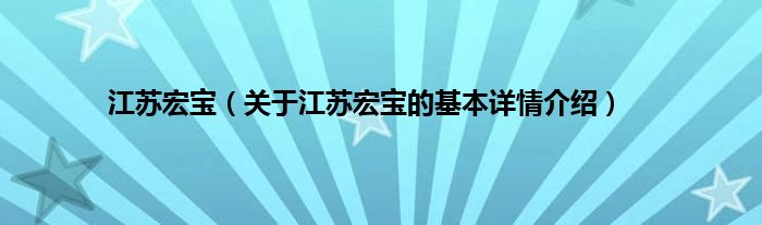 江苏宏宝（关于江苏宏宝的基本详情介绍）