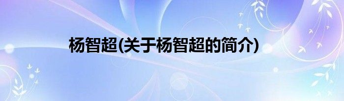 杨智超(关于杨智超的简介)