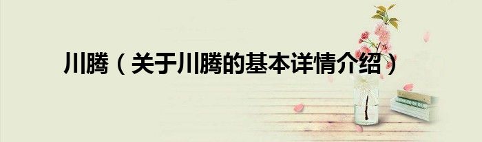 川腾（关于川腾的基本详情介绍）
