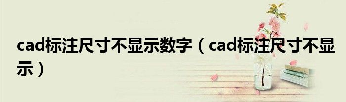 cad标注尺寸不显示数字(cad标注尺寸不显示)
