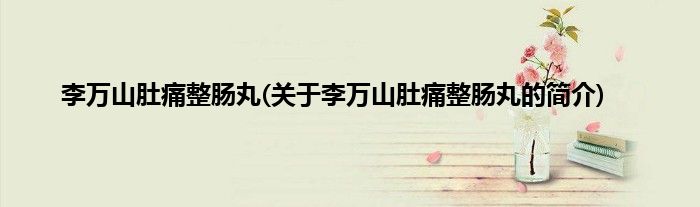 李万山肚痛整肠丸(关于李万山肚痛整肠丸的简介)