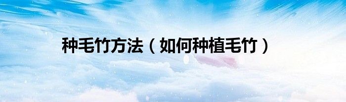 种毛竹方法（如何种植毛竹）