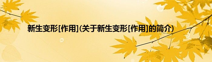 新生变形[作用](关于新生变形[作用]的简介)