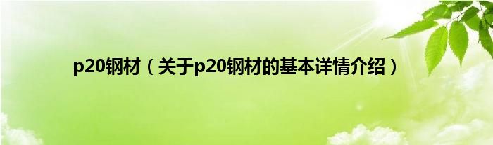 p20钢材（关于p20钢材的基本详情介绍）