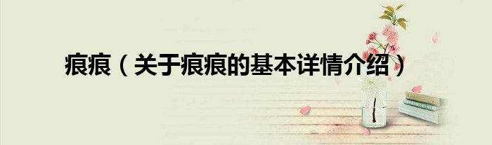 痕痕（关于痕痕的基本详情介绍）