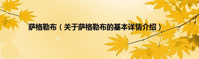 萨格勒布（关于萨格勒布的基本详情介绍）
