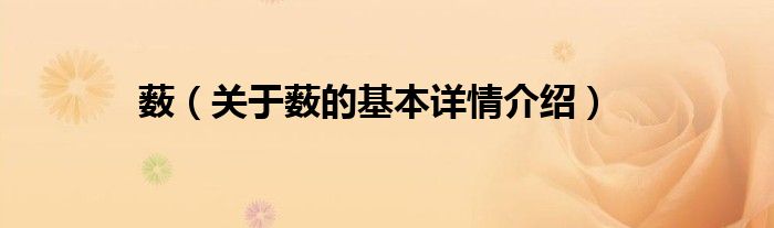 薮（关于薮的基本详情介绍）