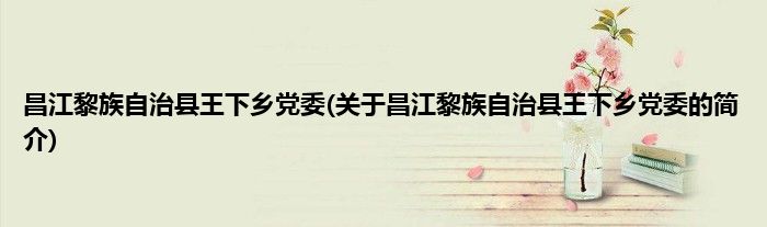 昌江黎族自治县王下乡党委(关于昌江黎族自治县王下乡党委的简介)