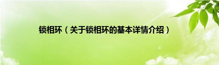 锁相环（关于锁相环的基本详情介绍）