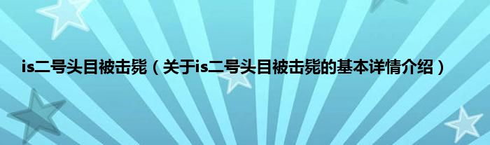 is二号头目被击毙（关于is二号头目被击毙的基本详情介绍）