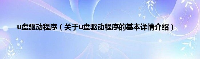 u盘驱动程序（关于u盘驱动程序的基本详情介绍）