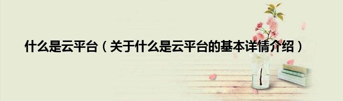 什么是云平台(关于什么是云平台的基本详情介绍)