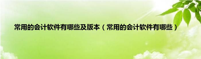 常用的会计软件有哪些及版本（常用的会计软件有哪些）