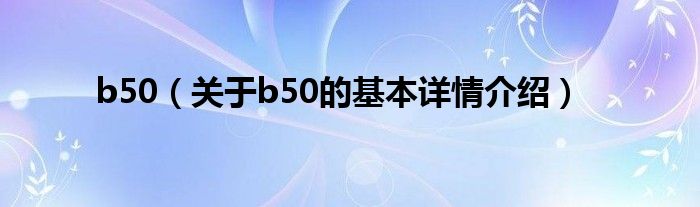 b50（关于b50的基本详情介绍）