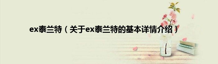 ex泰兰特（关于ex泰兰特的基本详情介绍）