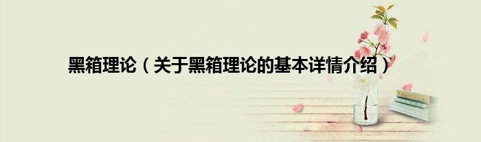 黑箱理论（关于黑箱理论的基本详情介绍）