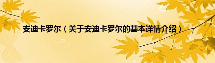 安迪卡罗尔(关于安迪卡罗尔的基本详情介绍)