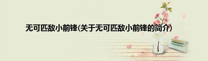 无可匹敌小前锋(关于无可匹敌小前锋的简介)