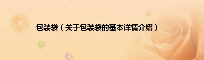 包装袋（关于包装袋的基本详情介绍）