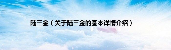 陆三金（关于陆三金的基本详情介绍）