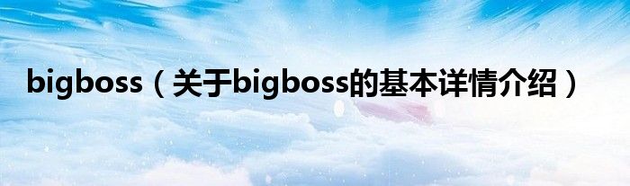bigboss（关于bigboss的基本详情介绍）