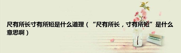 尺有所长寸有所短是什么道理（“尺有所长，寸有所短”是什么意思啊）