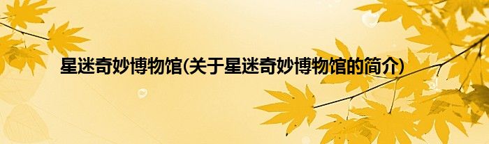星迷奇妙博物馆(关于星迷奇妙博物馆的简介)