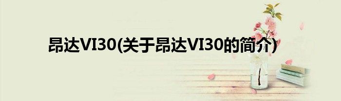 昂达VI30(关于昂达VI30的简介)