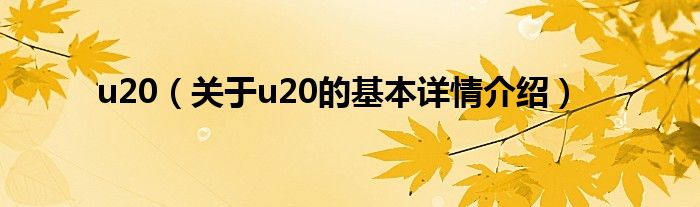 u20（关于u20的基本详情介绍）