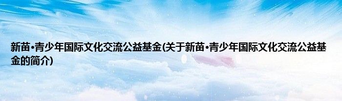 新苗·青少年国际文化交流公益基金(关于新苗·青少年国际文化交流公益基金的简介)