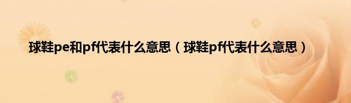 球鞋pe和pf代表什么意思（球鞋pf代表什么意思）