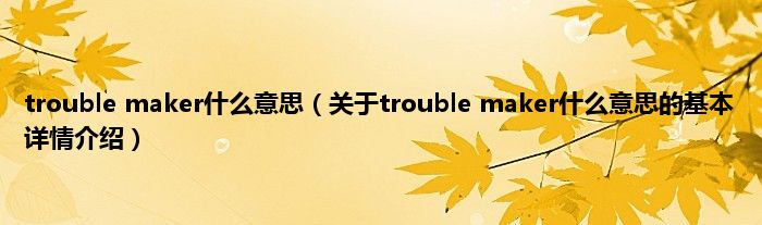 trouble maker什么意思(关于trouble maker什么意思的基本详情介绍)