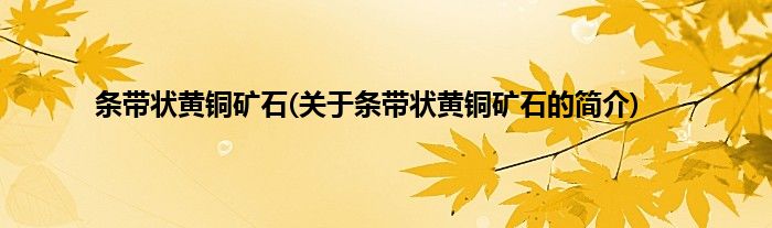 条带状黄铜矿石(关于条带状黄铜矿石的简介)