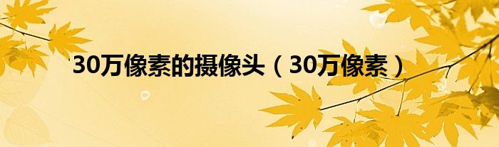 30万像素的摄像头（30万像素）