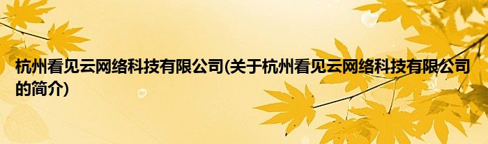 杭州看见云网络科技有限公司(关于杭州看见云网络科技有限公司的简介)