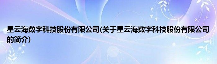星云海数字科技股份有限公司(关于星云海数字科技股份有限公司的简介)