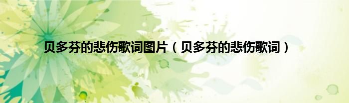 贝多芬的悲伤歌词图片（贝多芬的悲伤歌词）