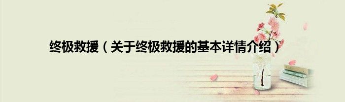 终极救援（关于终极救援的基本详情介绍）