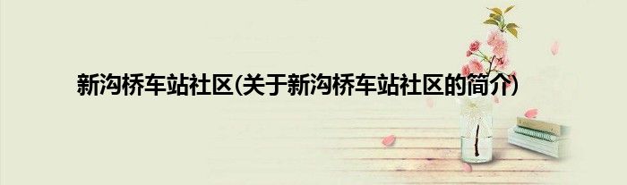 新沟桥车站社区(关于新沟桥车站社区的简介)