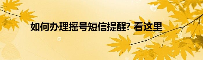 如何办理摇号短信提醒? 看这里