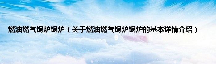 燃油燃气锅炉锅炉（关于燃油燃气锅炉锅炉的基本详情介绍）