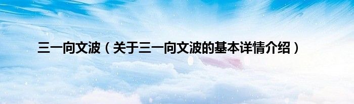 三一向文波（关于三一向文波的基本详情介绍）