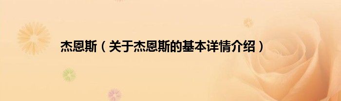 杰恩斯(关于杰恩斯的基本详情介绍)