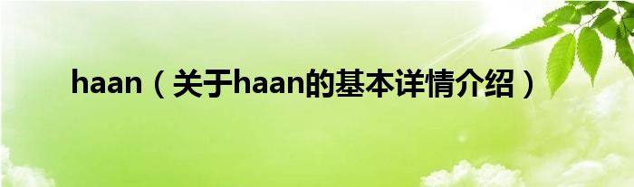 haan（关于haan的基本详情介绍）
